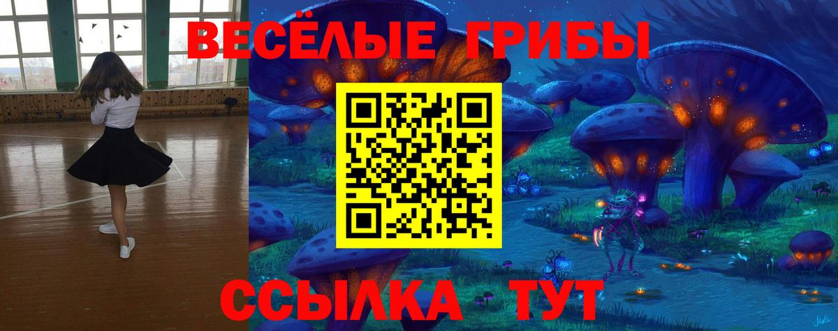 купить наркоту  Вход с VPN  Галлюциногенные грибы мухоморы  Дмитров  Псилоцибиновые грибы Cubensis 
